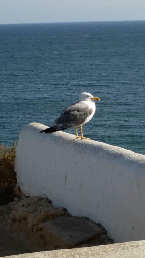 Algarve/Sra Da Rocha Leilighet Porches  Eksteriør bilde